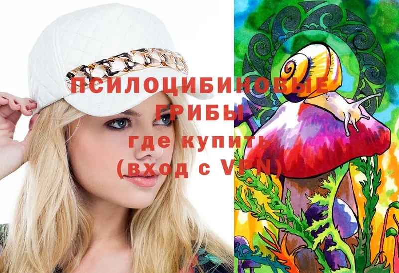 Галлюциногенные грибы MAGIC MUSHROOMS  купить   Кольчугино 